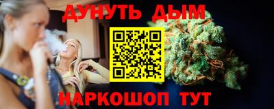 сатива Апшеронск