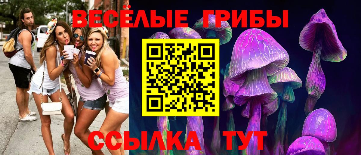 Псилоцибиновые грибы Psilocybe  Вход с VPN  Апшеронск 