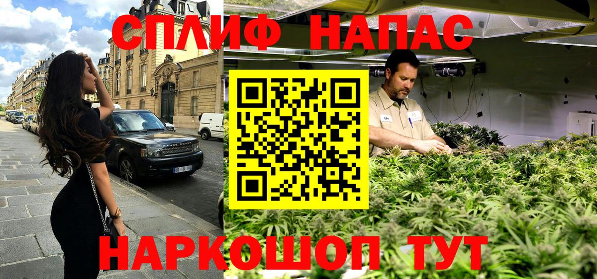Конопля конопля Апшеронск